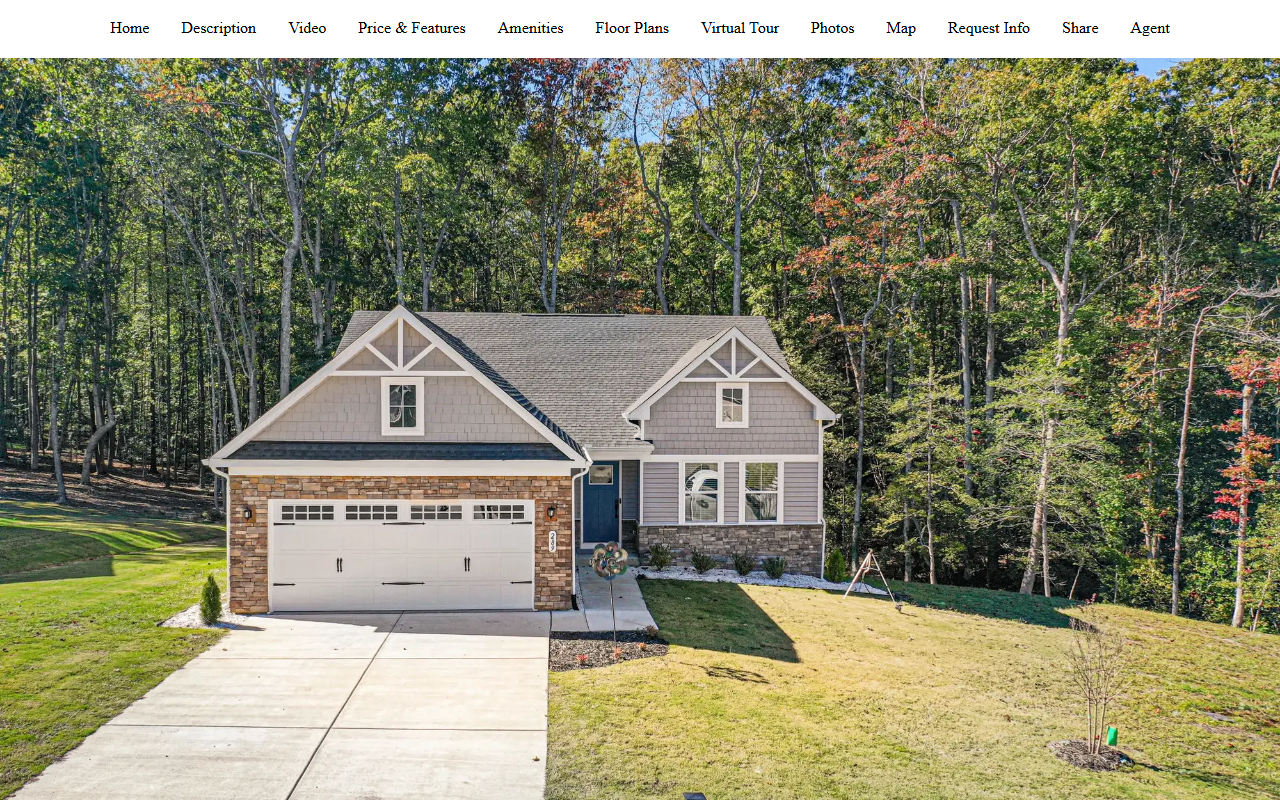 289pleasantslane.com screenshot
