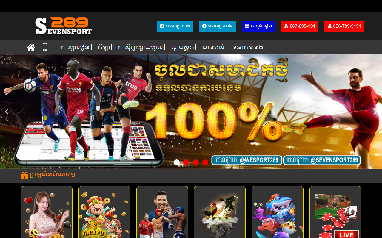 289sevensports.com screenshot