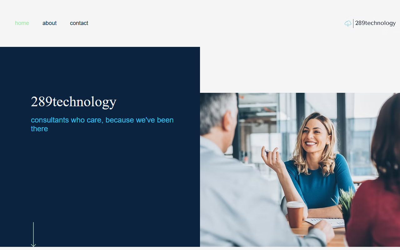 289technology.com screenshot