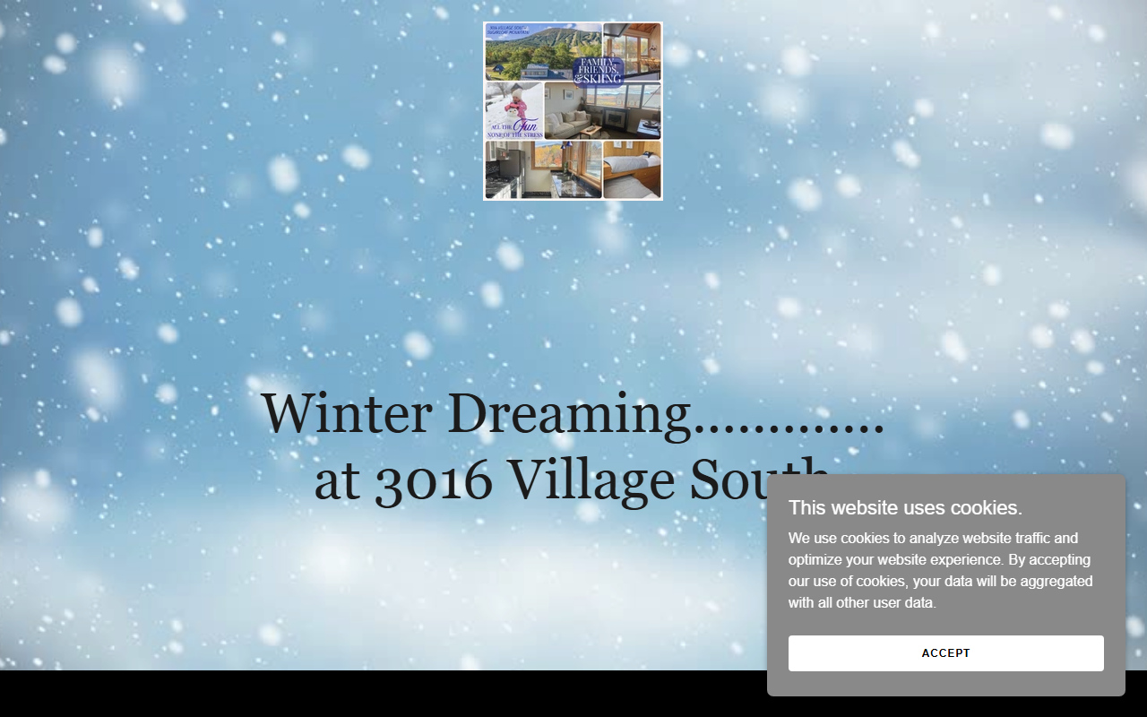 3016villagesouth.com screenshot