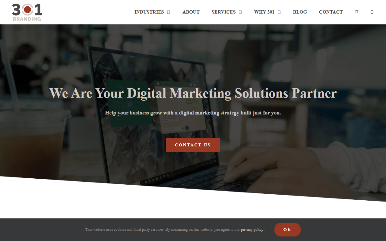 301branding.com screenshot