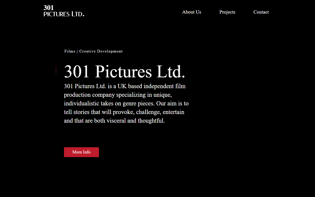 301picturesltd.com screenshot
