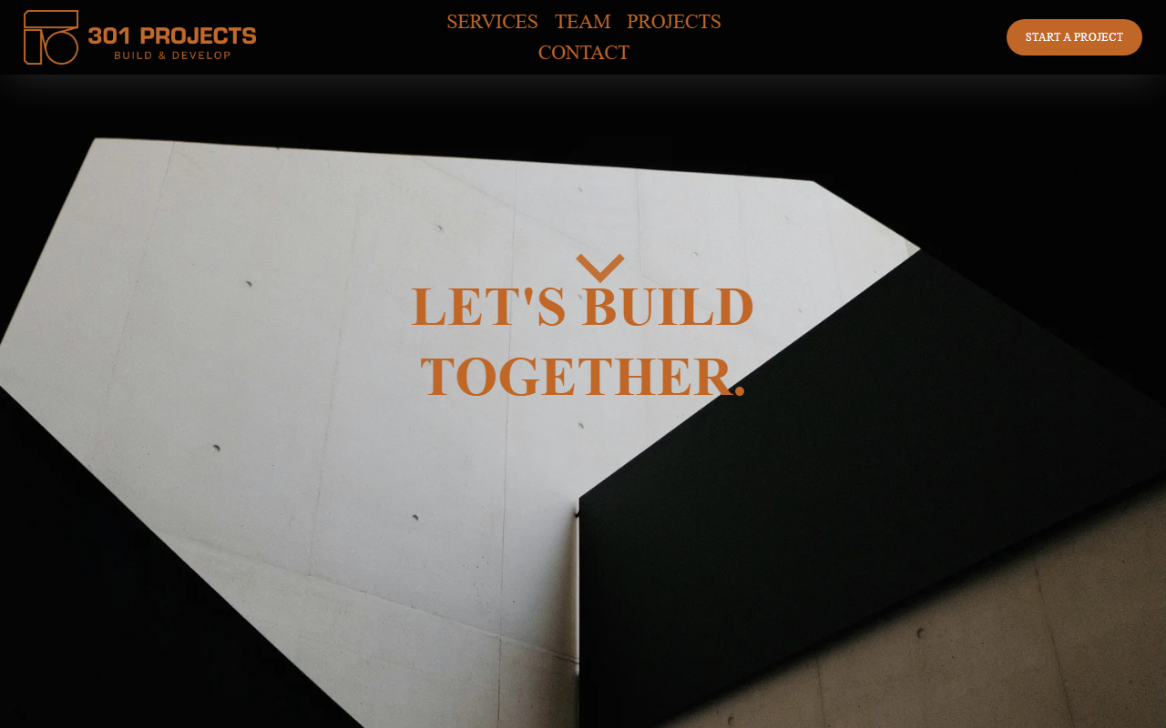 301projects.com screenshot