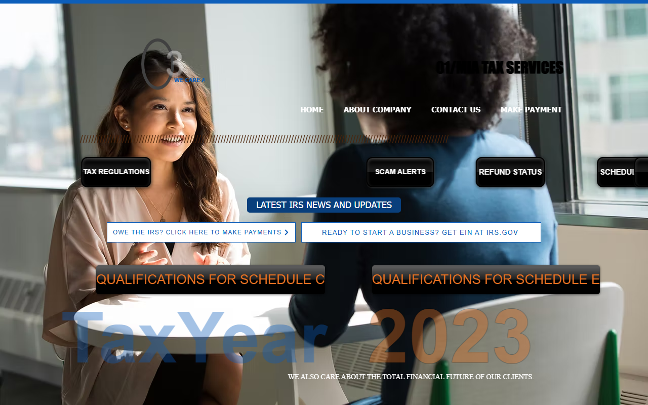 301taxservices.com screenshot