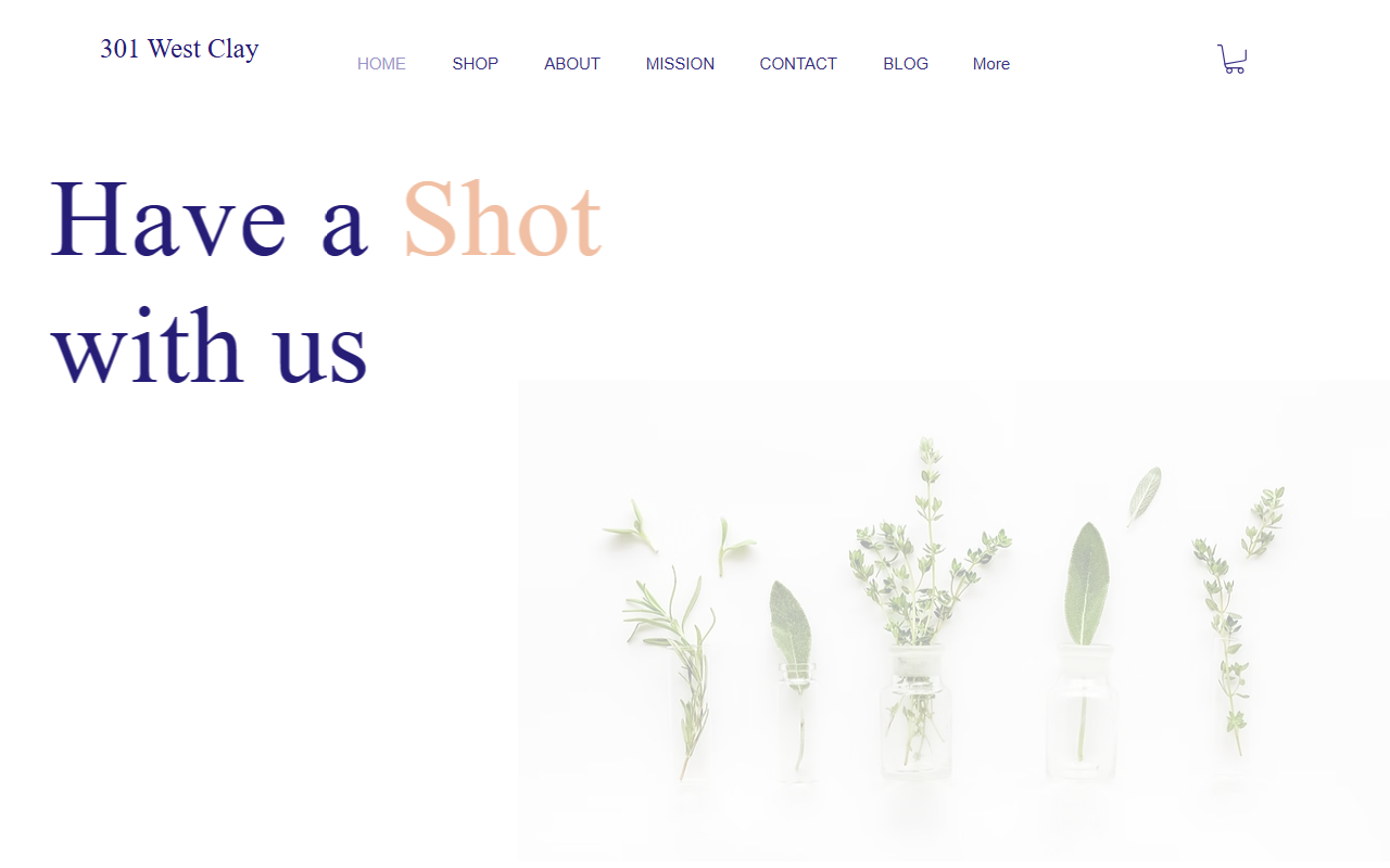 301westclay.com screenshot