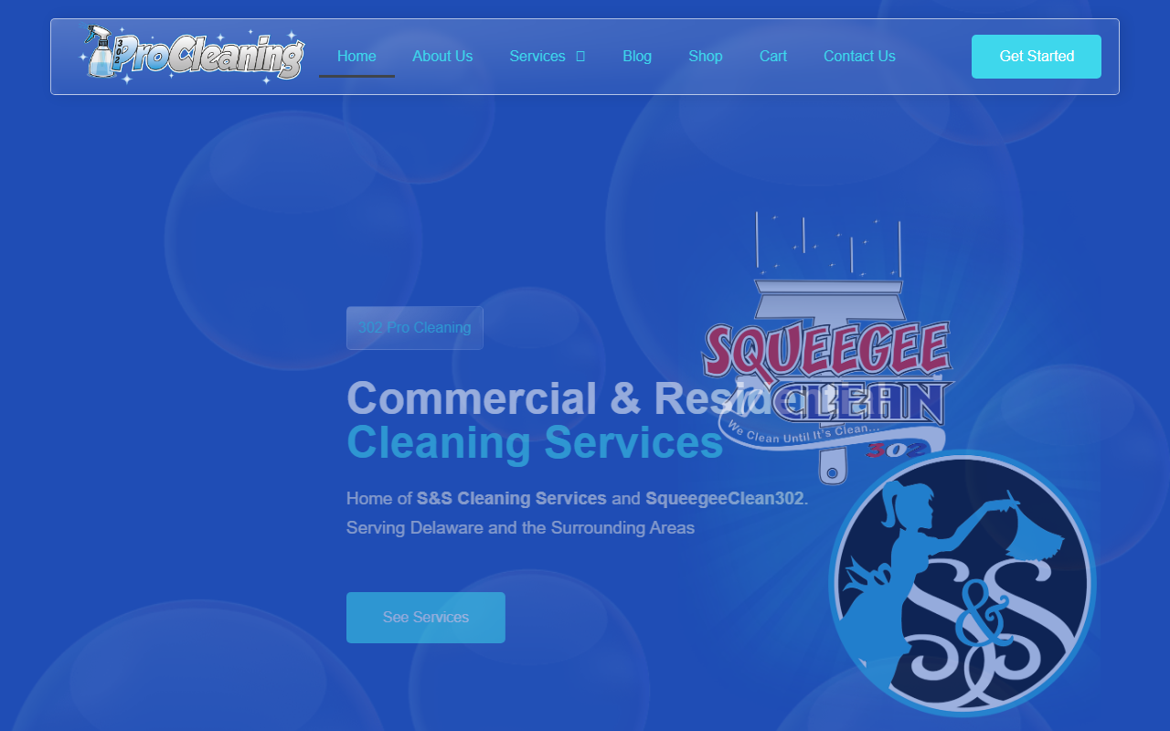 302procleaning.com screenshot
