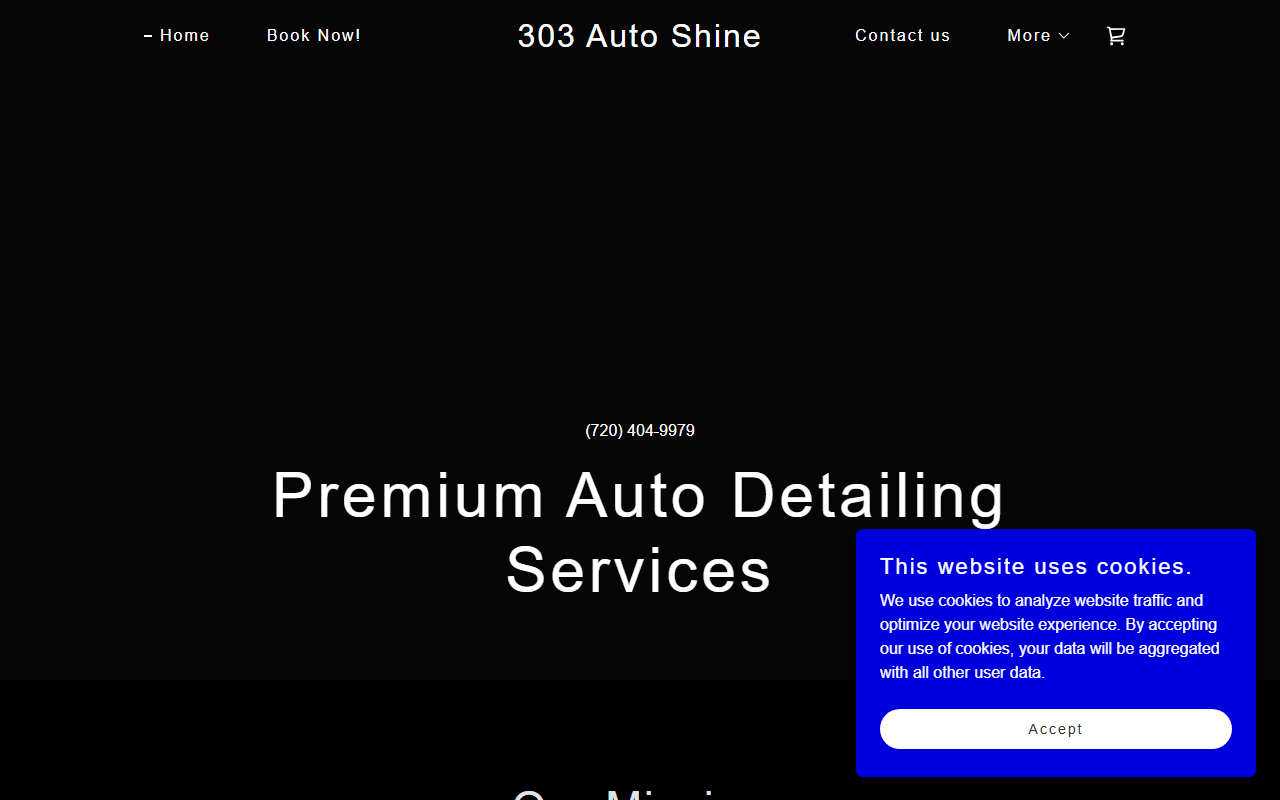303autoshine.com screenshot