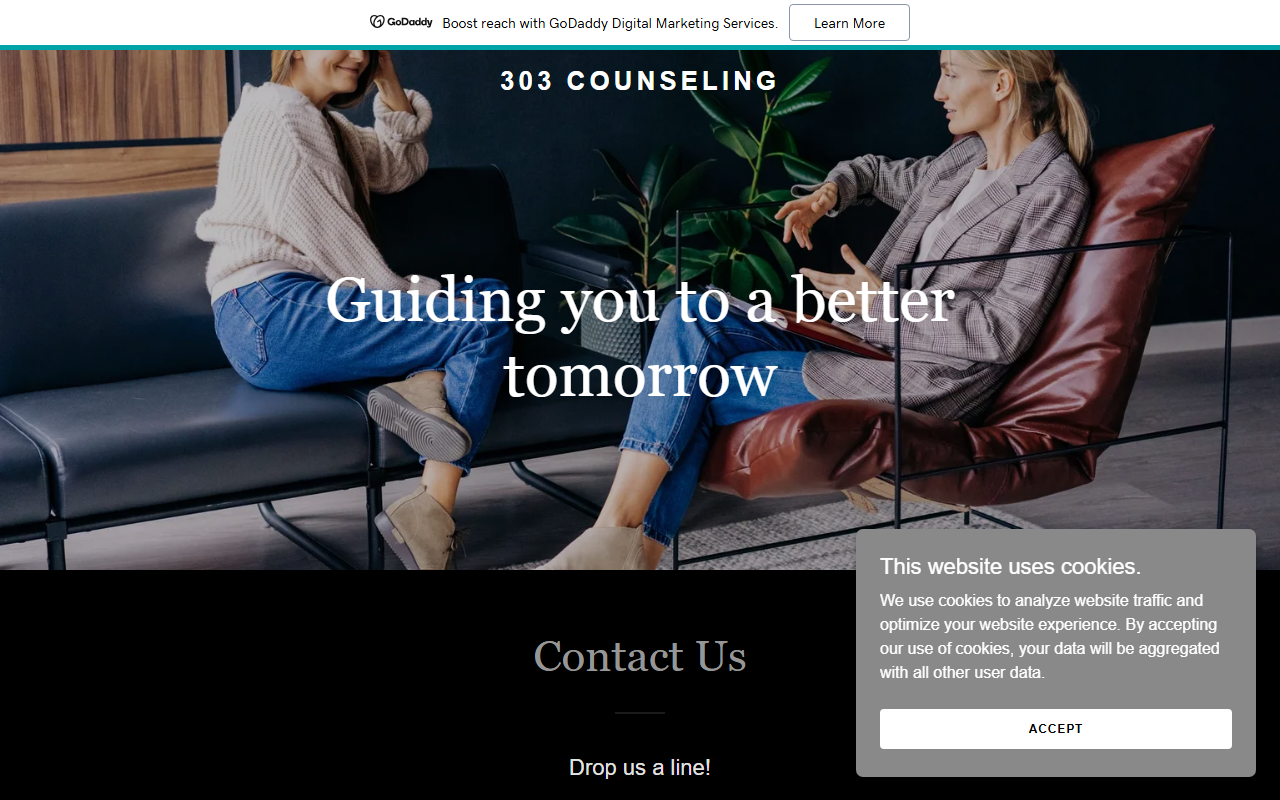 303counseling.com screenshot