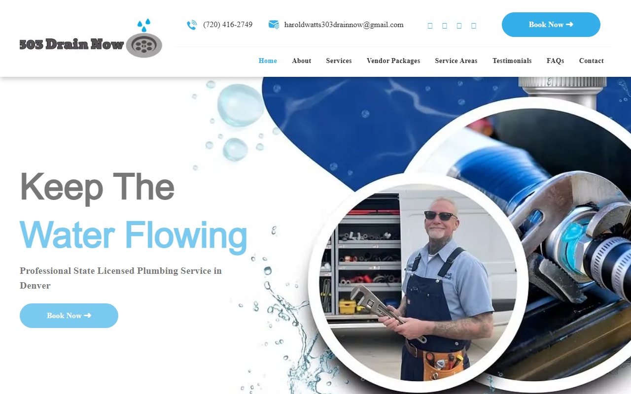 303drainnow.com screenshot