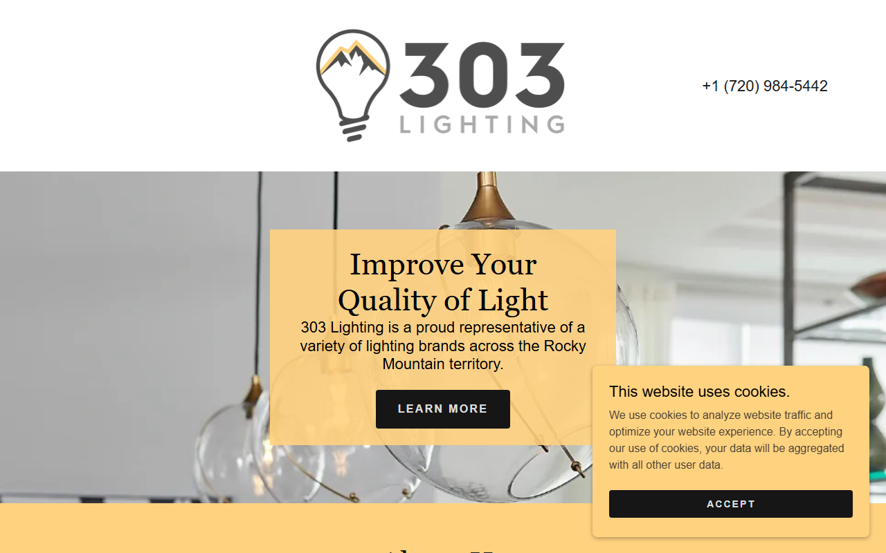 303lighting.com screenshot