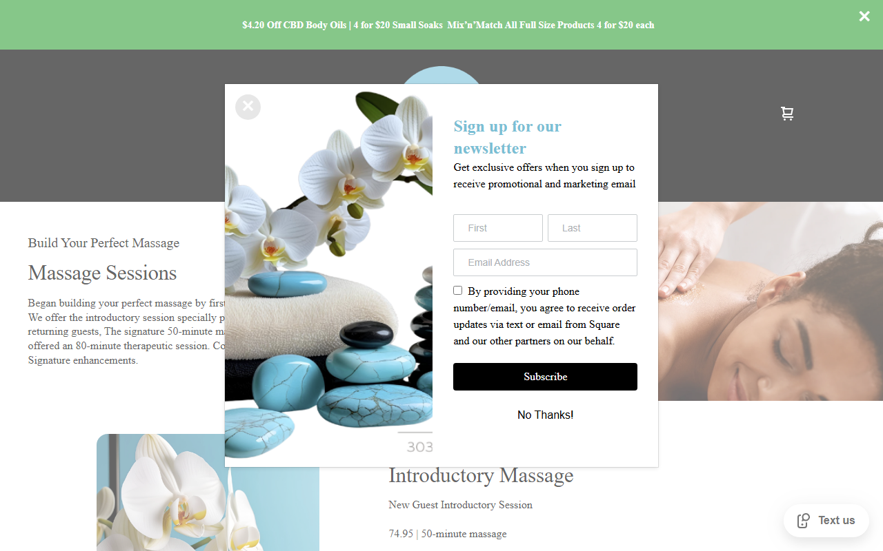 303massage.com screenshot