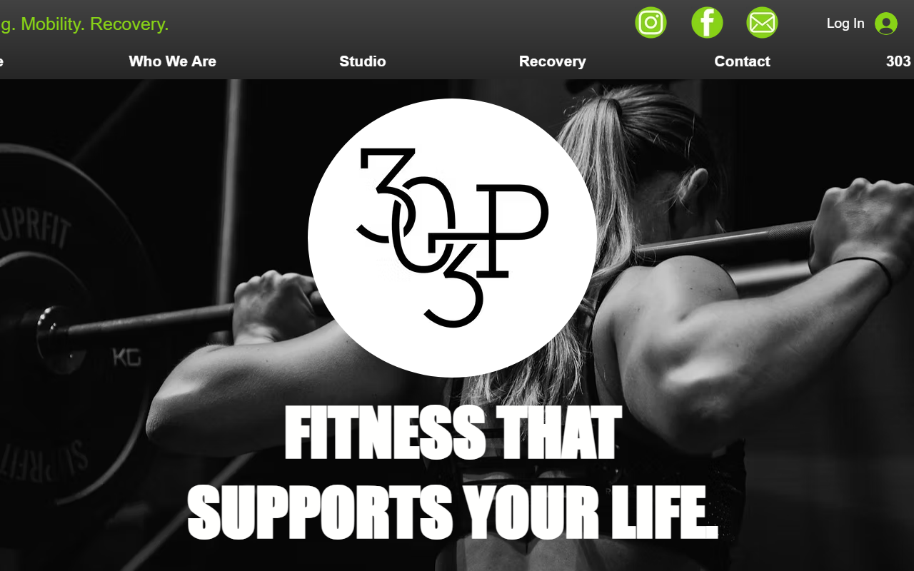 303performance.com screenshot