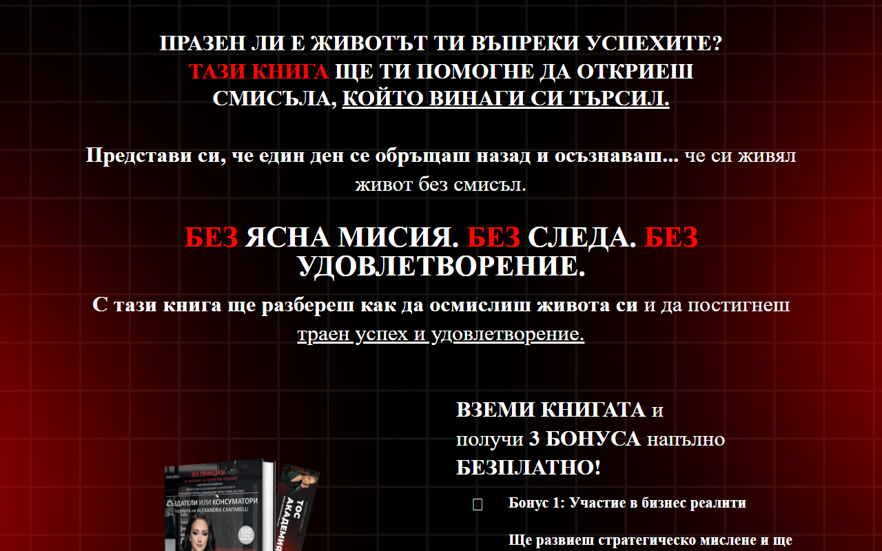 303principles.com screenshot