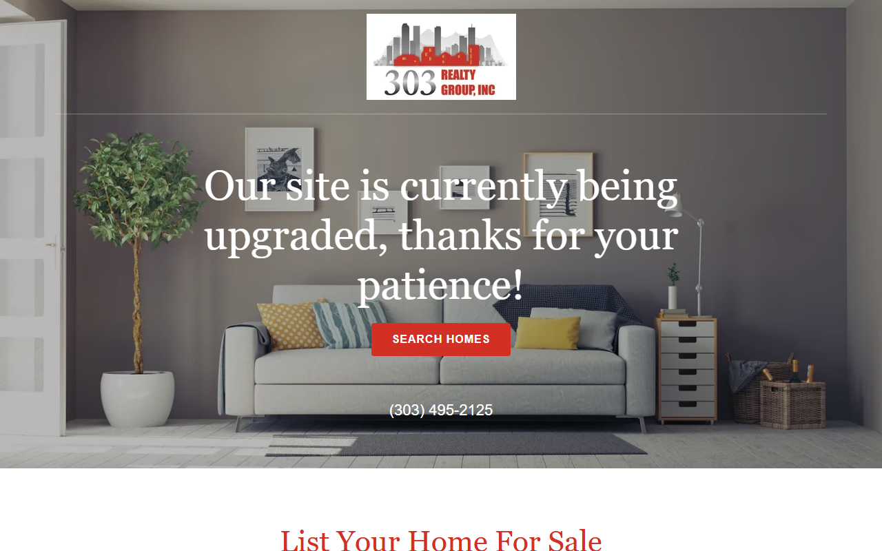 303realtygroup.com screenshot