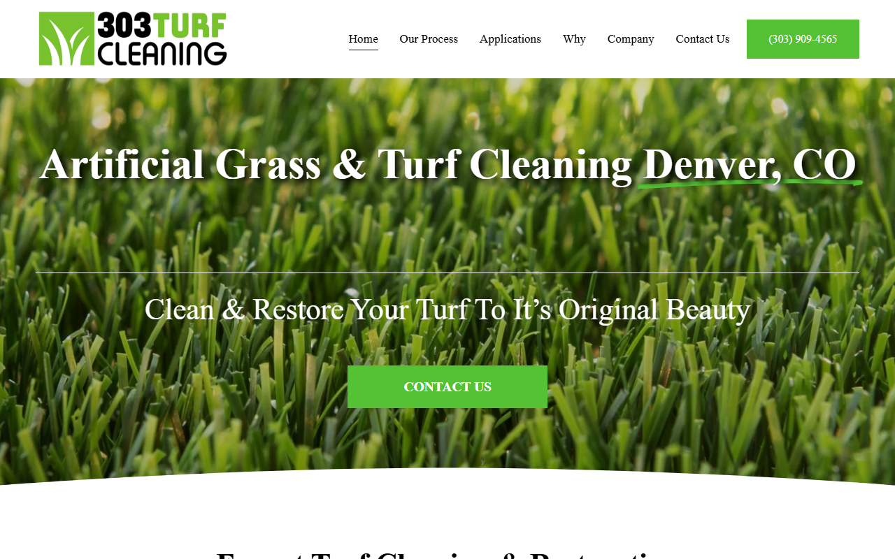303turfcleaning.com screenshot