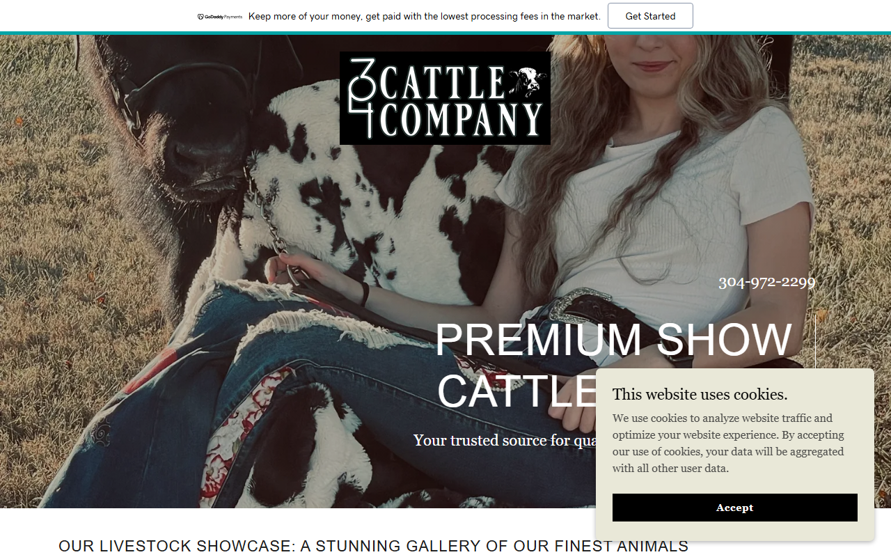 304cattlecompany.com screenshot