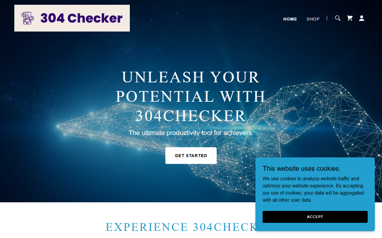 304checker.com screenshot