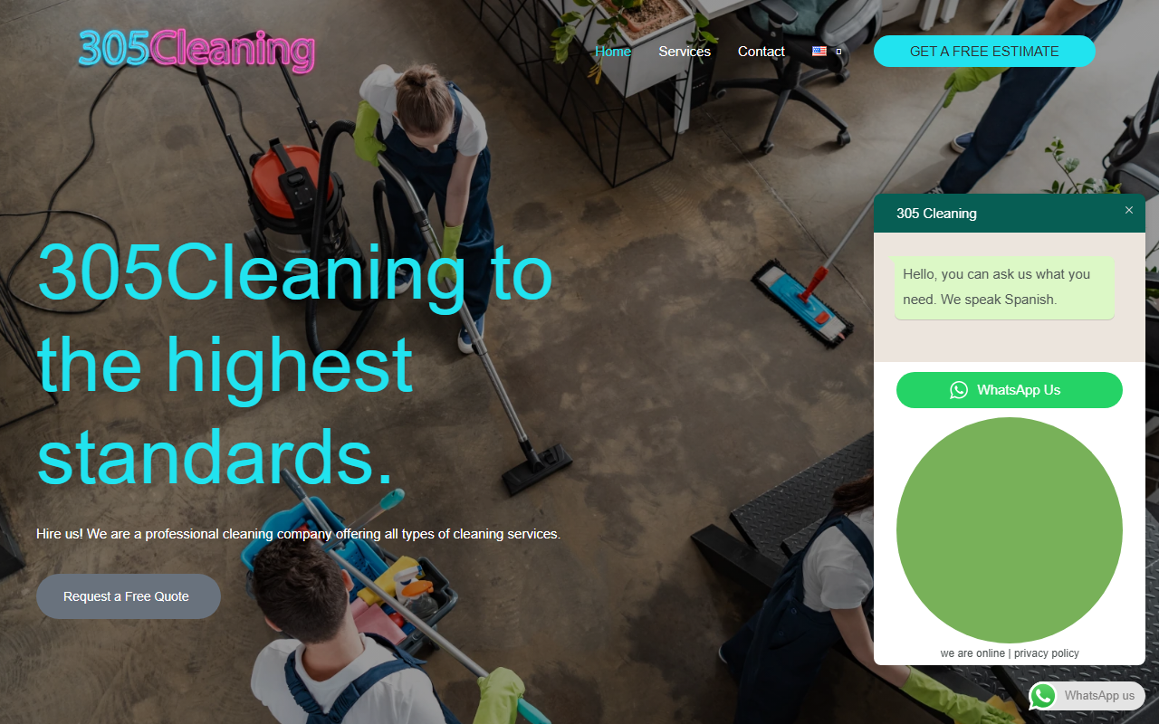305cleaning.com screenshot