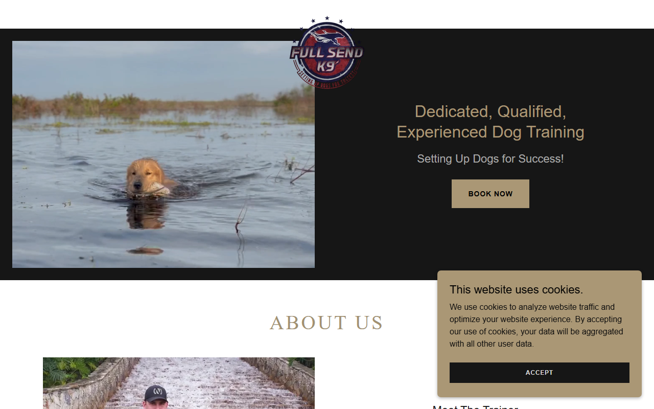 305dogtraining.com screenshot
