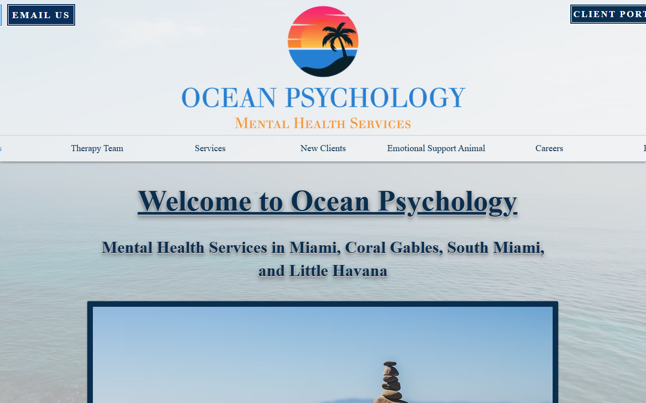 305psychology.com screenshot
