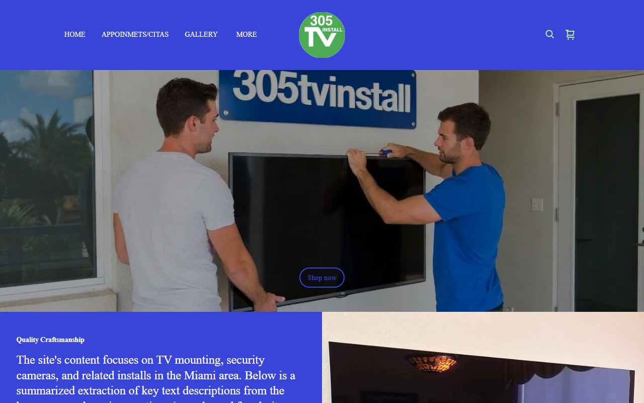 305tvinstall.com screenshot