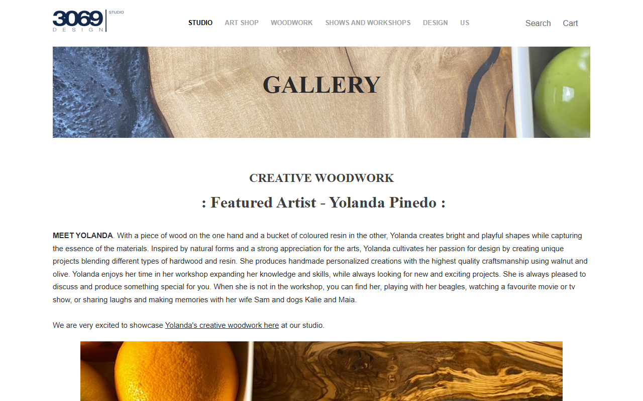 3069designstudio.com screenshot