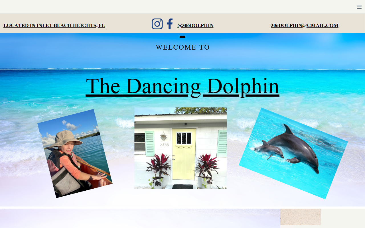 306dolphin.com screenshot