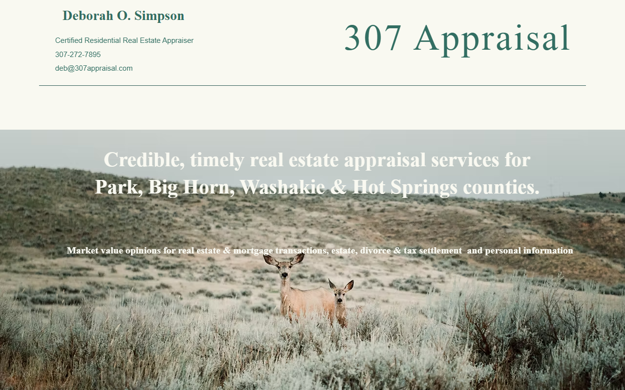 307appraisal.com screenshot