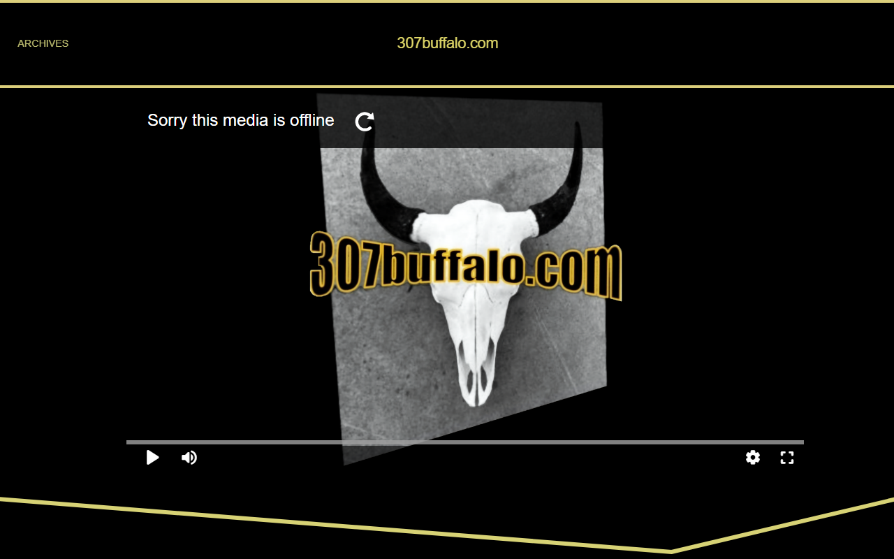 307buffalo.com screenshot