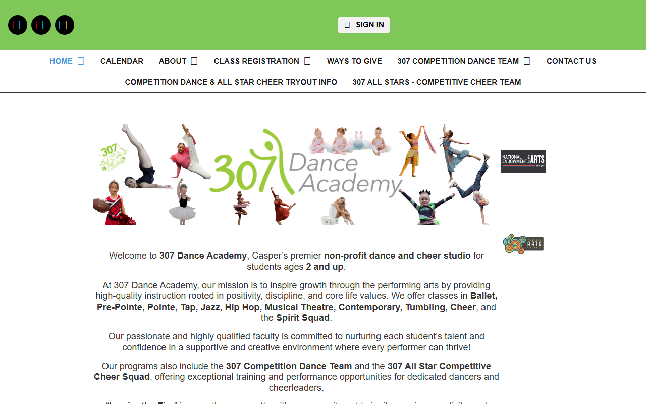 307danceacademy.com screenshot