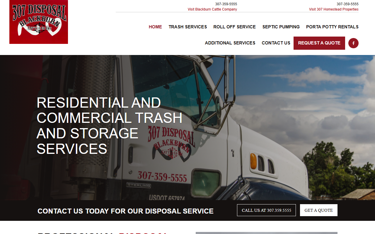 307disposal.com screenshot