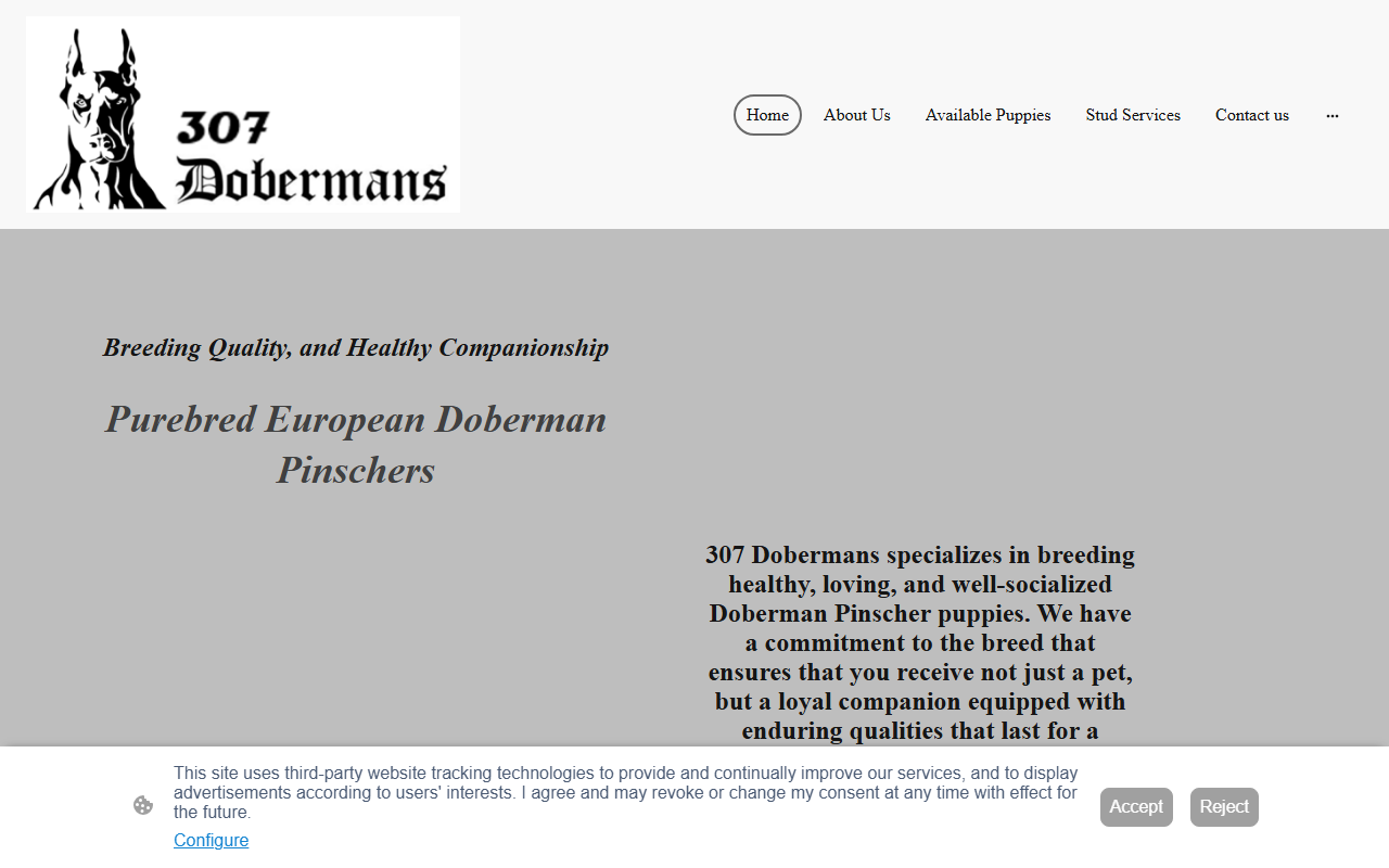 307dobermans.com screenshot