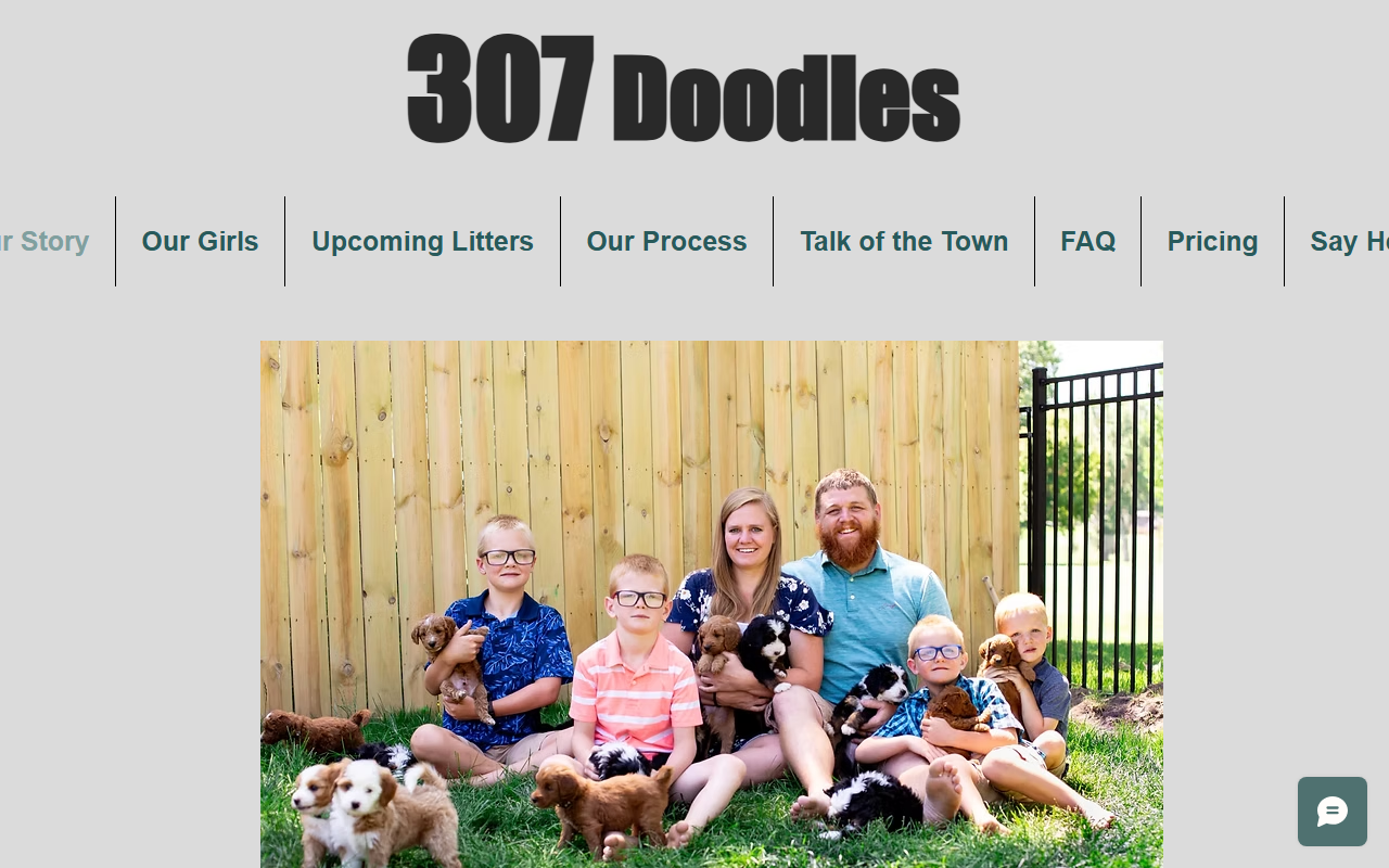 307doodles.com screenshot