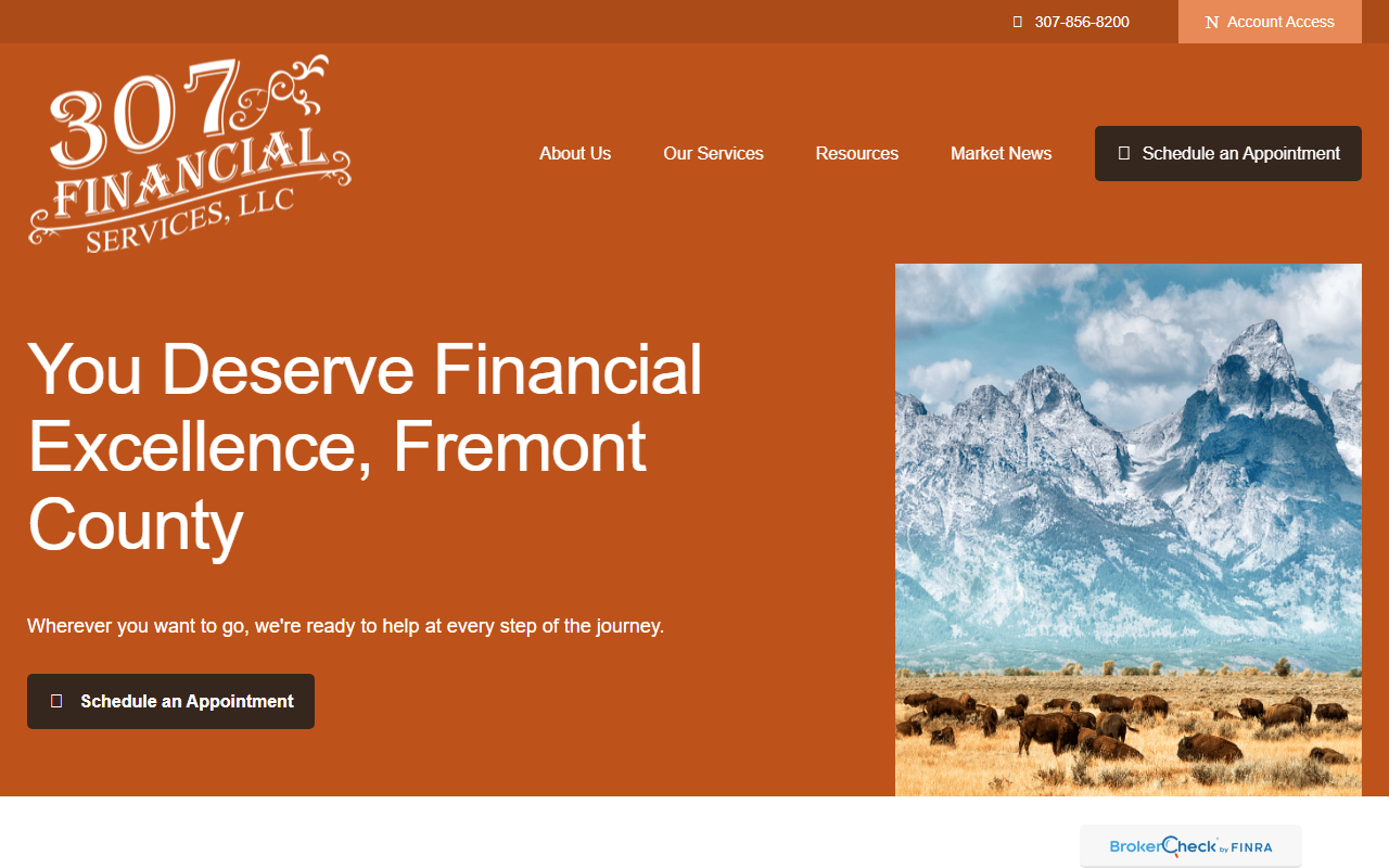 307financial.com screenshot
