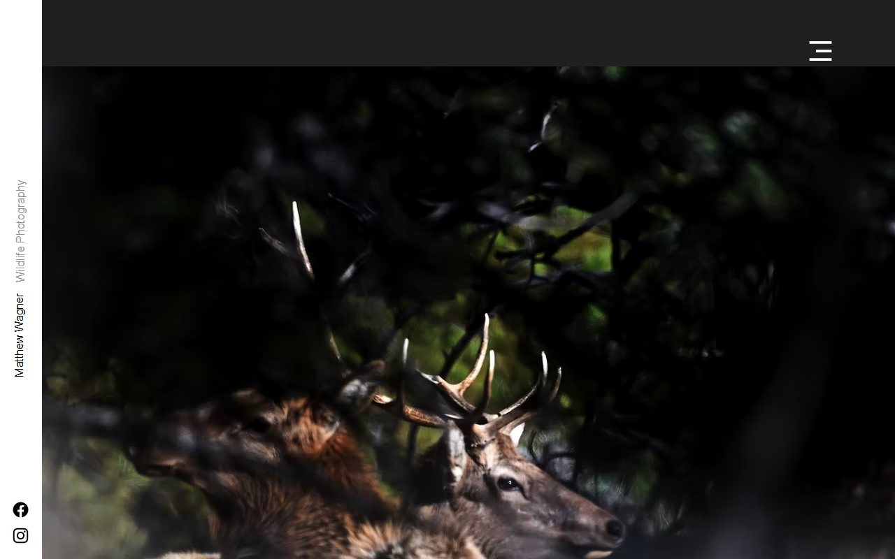 307framesllc.com screenshot