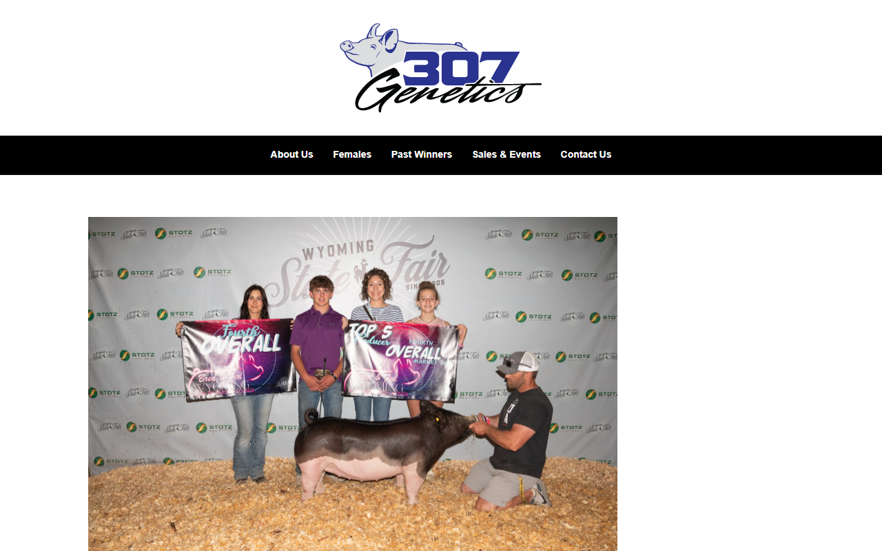307genetics.com screenshot