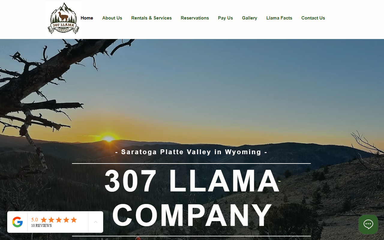 307llamacompany.com screenshot