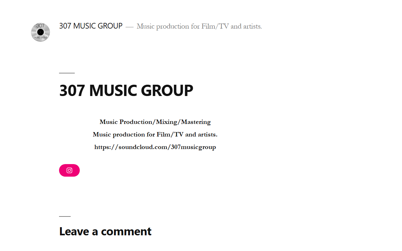 307musicgroup.com screenshot