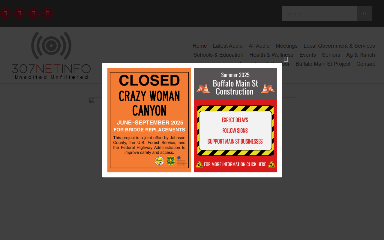 307netinfo.com screenshot