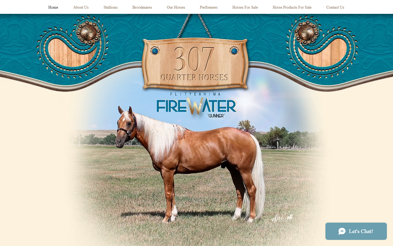 307quarterhorses.com screenshot