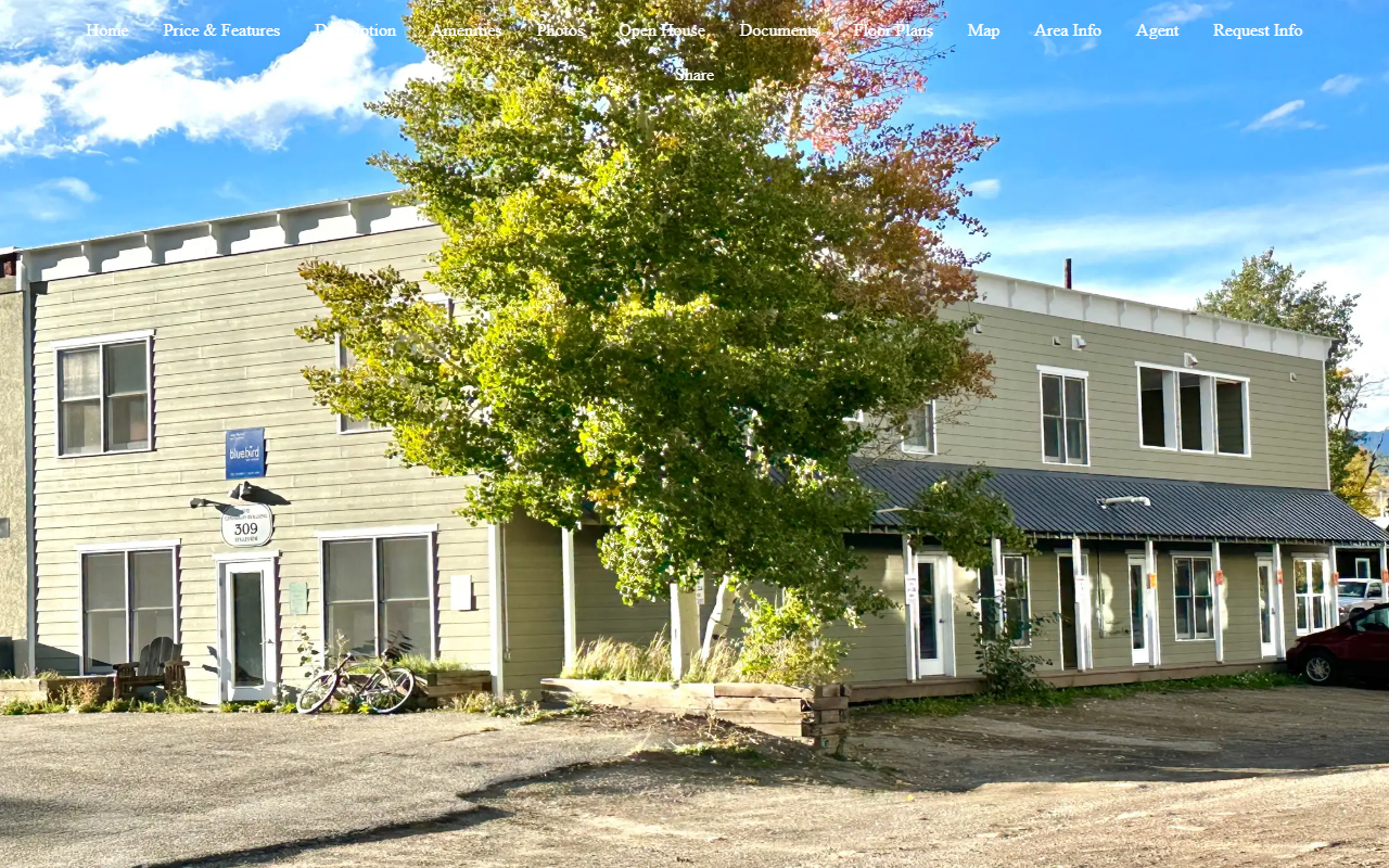 309belleview.com screenshot
