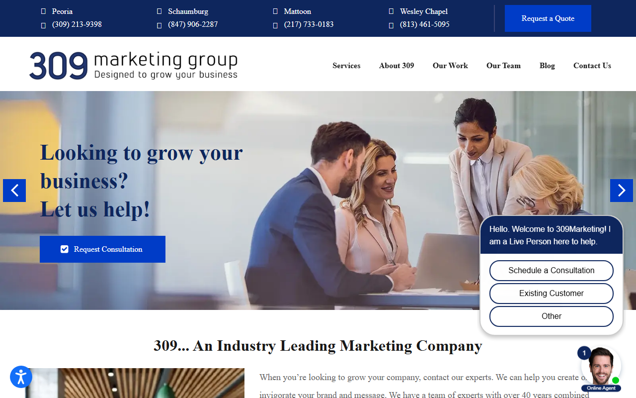 309marketing.com screenshot