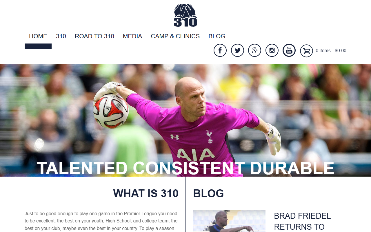 310friedel.com screenshot