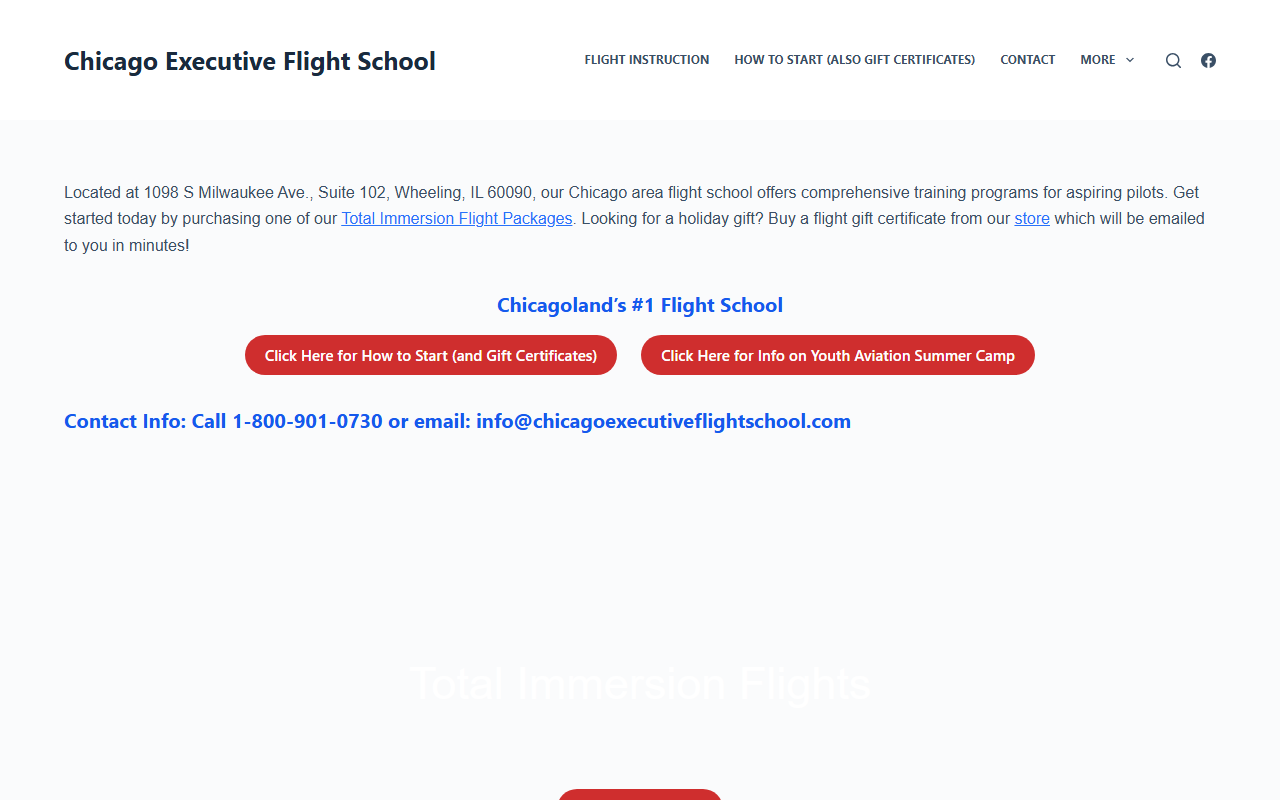 312icanfly.com screenshot