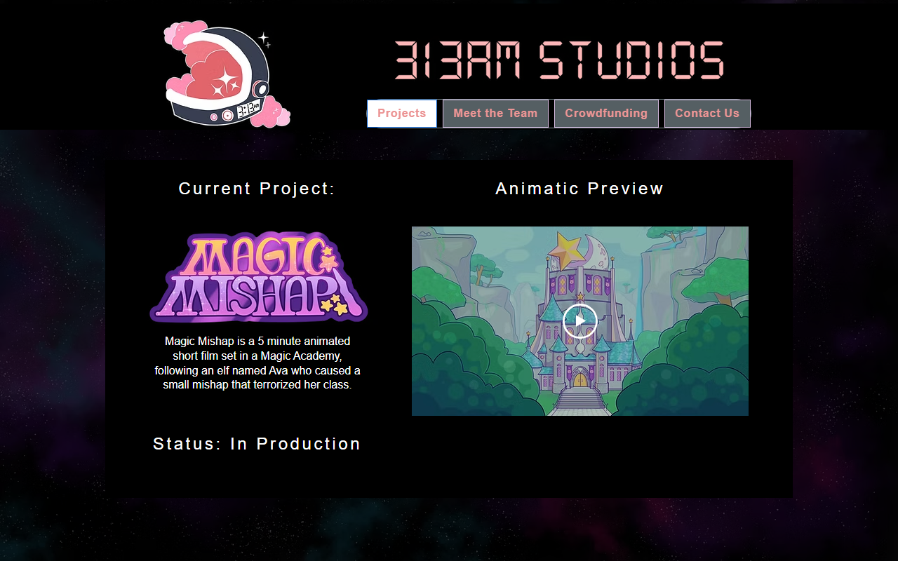 313amstudios.com screenshot
