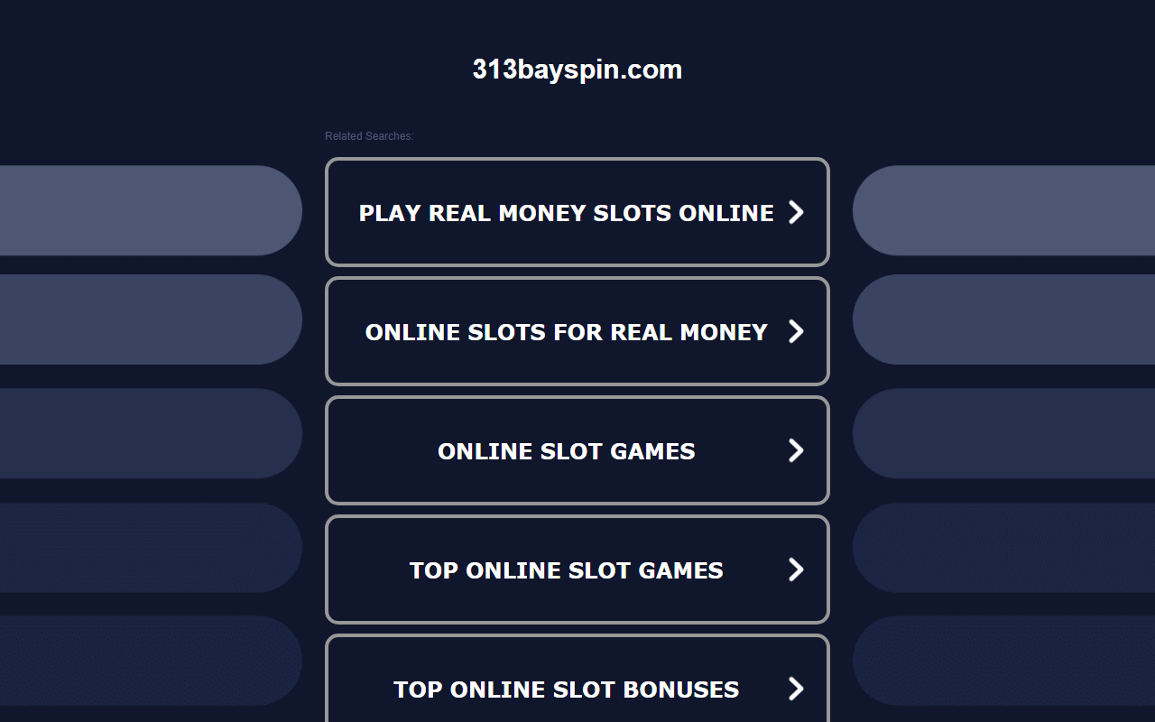 313bayspin.com screenshot