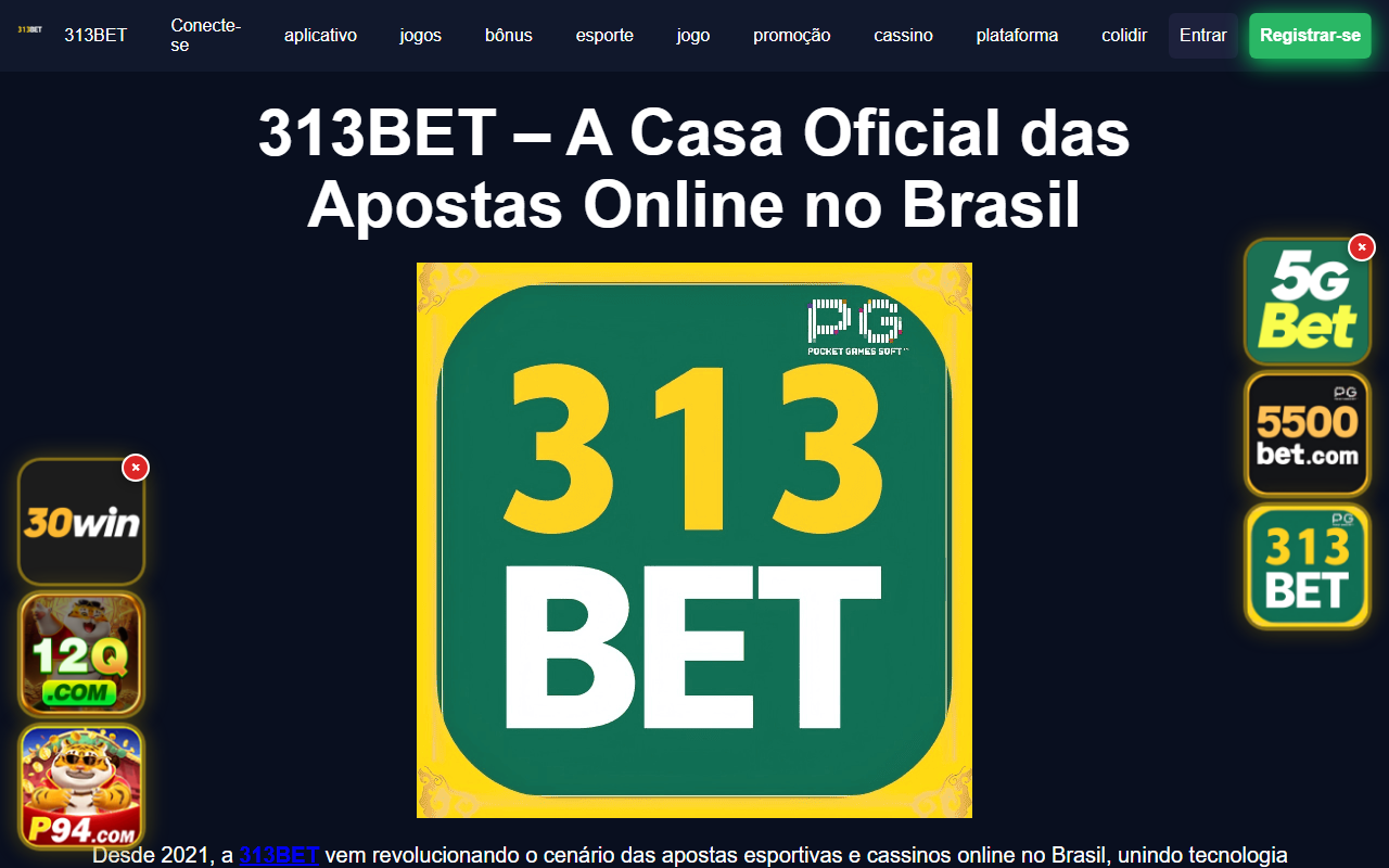 313betbrazil.com screenshot