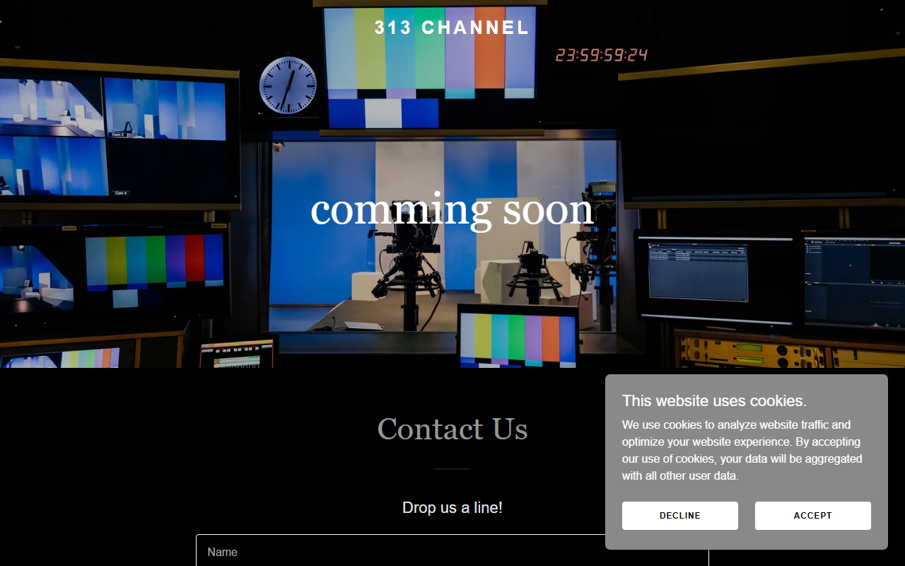 313channel.com screenshot