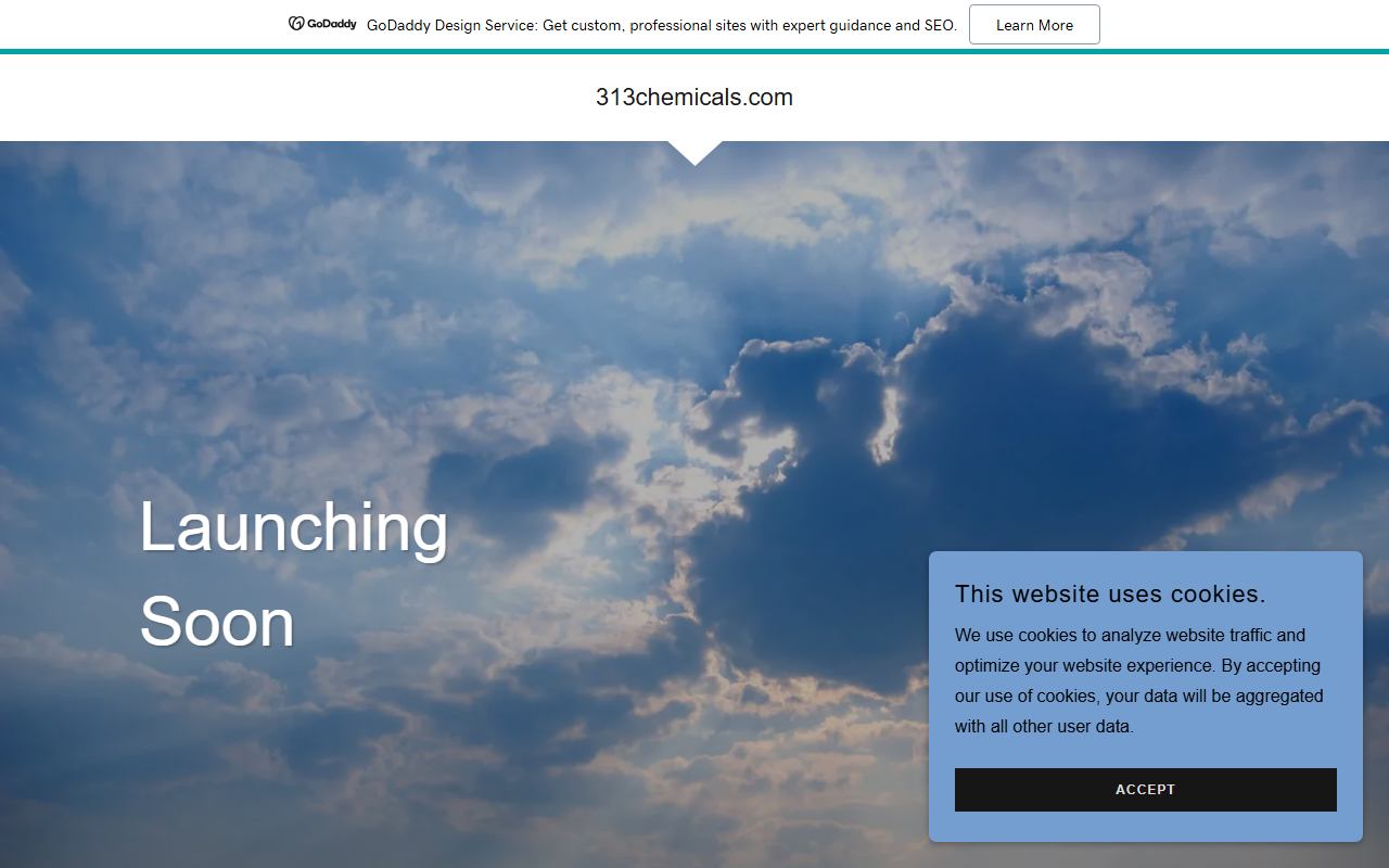 313chemicals.com screenshot