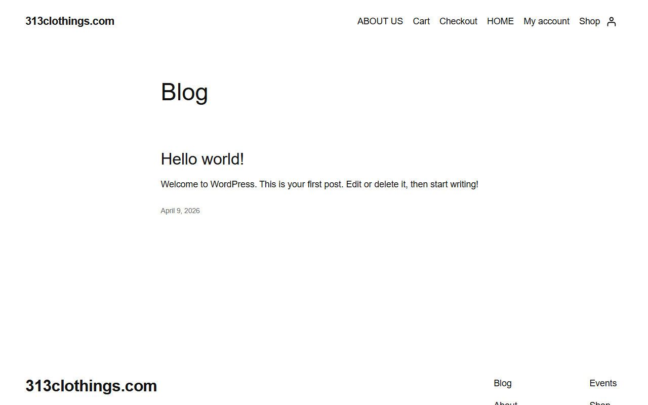 313clothings.com screenshot